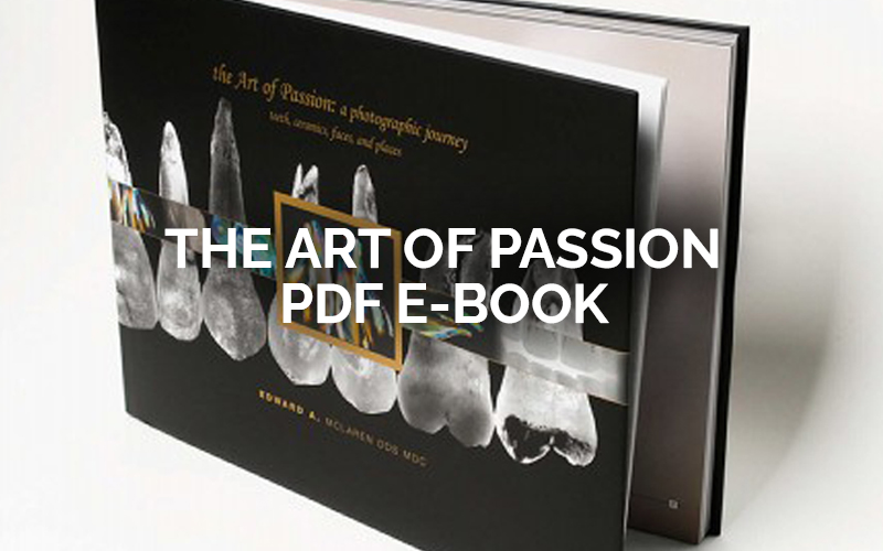 The Art Of Passion